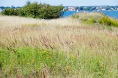 Nordhavn  Naturpark
