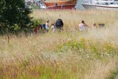 Nordhavn  Naturpark