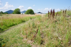 Nordhavn  Naturpark