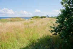 Nordhavn  Naturpark