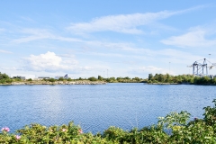 Nordhavn  Naturpark