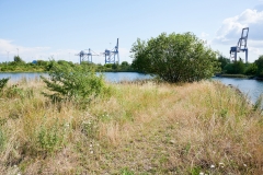 Nordhavn  Naturpark