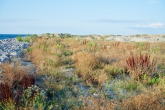 Nordhavn  Naturpark