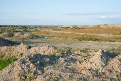 Nordhavn  Naturpark